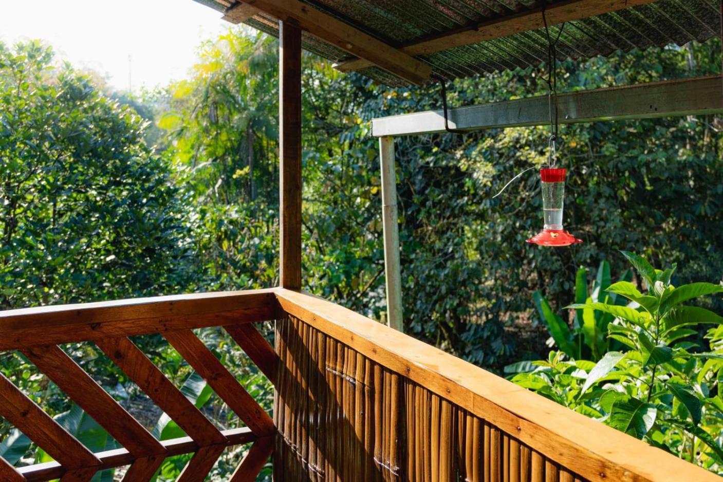 Mindo Glambird Glamping & Lodge Екстер'єр фото