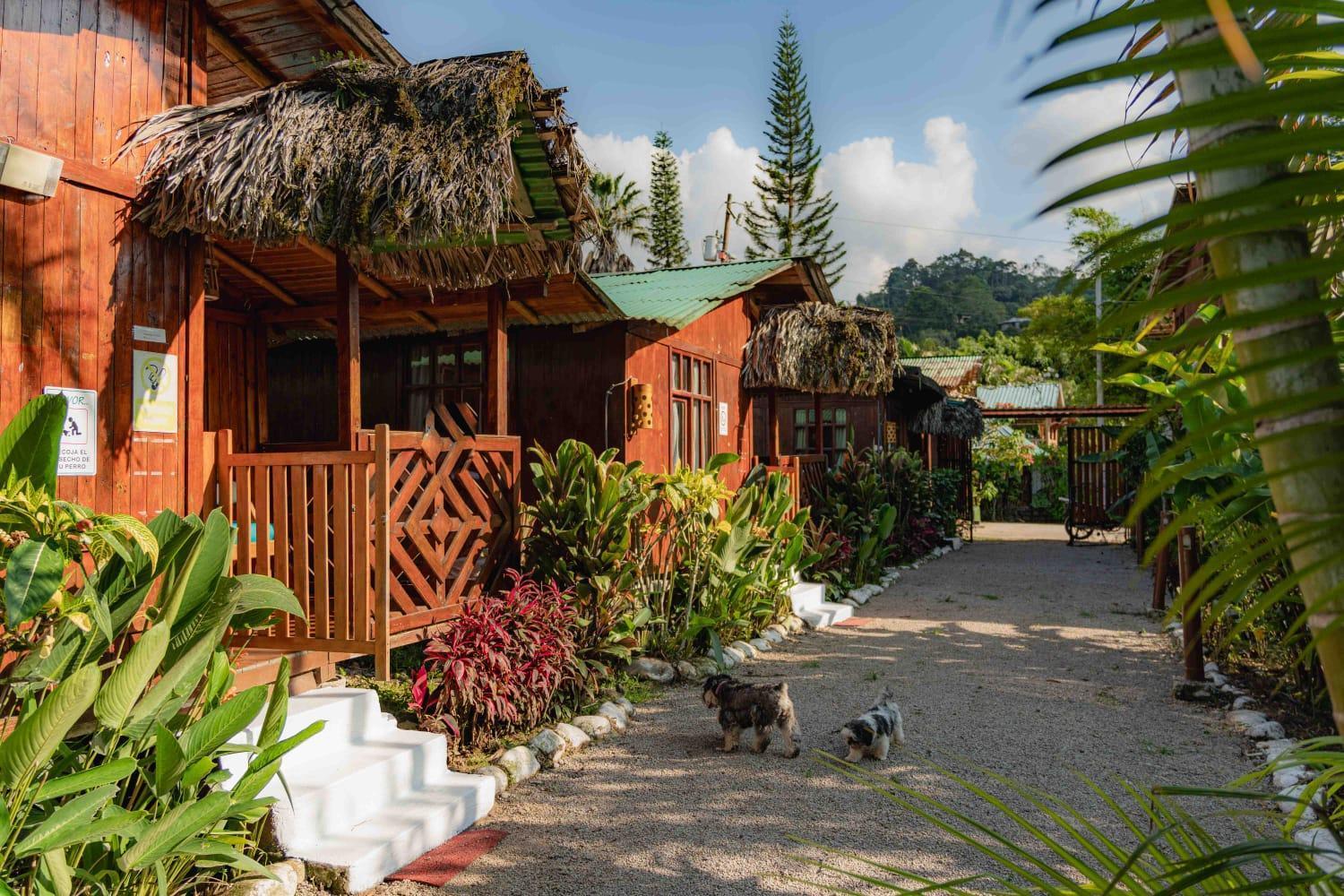 Mindo Glambird Glamping & Lodge Екстер'єр фото