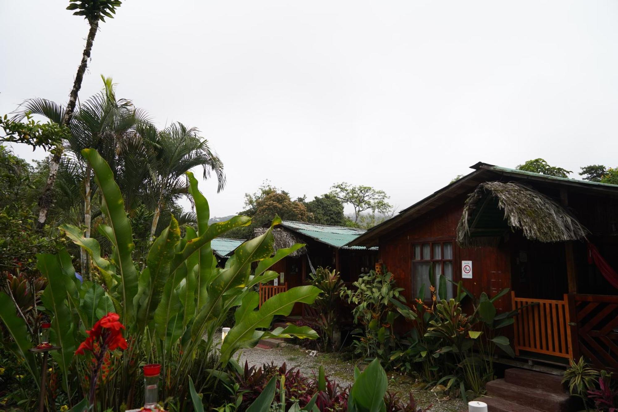 Mindo Glambird Glamping & Lodge Екстер'єр фото